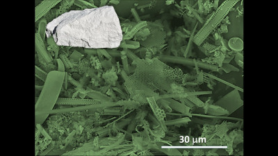 Diatomite Mineral and Its Microstructure (SEM Micrograph)