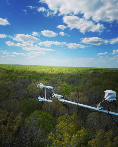 US-ULM Carbon Flux Tower Monroe Louisiana