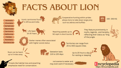 Facts about Lion