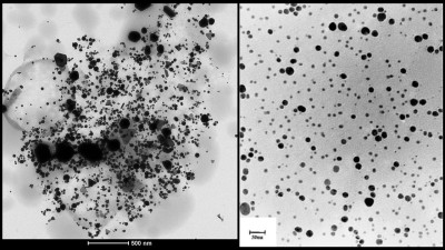 Poor vs. Good Au Nanoparticle Samples