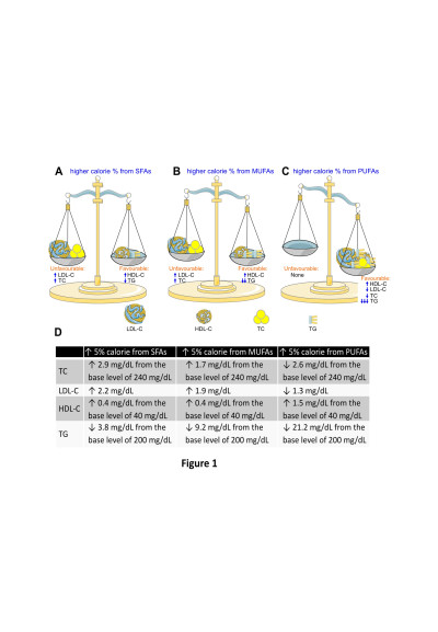 Lipid Profile Associated with Usual Intake of Fatty Acids