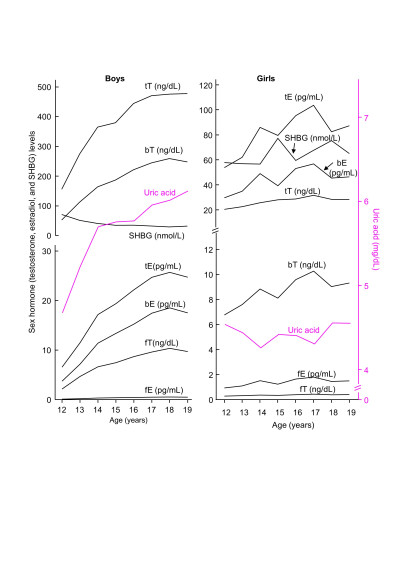 Serum Levels of Sex Hormones