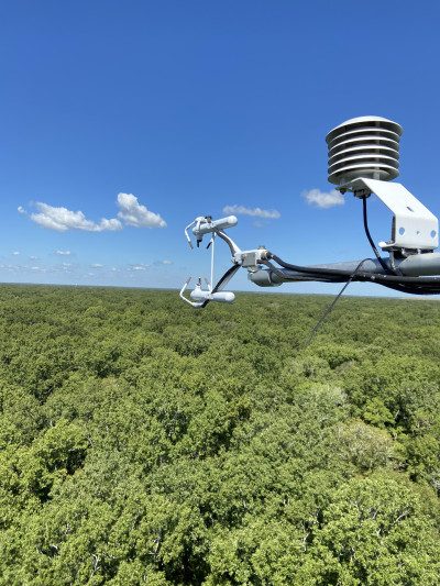 US-ULM Carbon Flux Tower in Monroe Louisiana