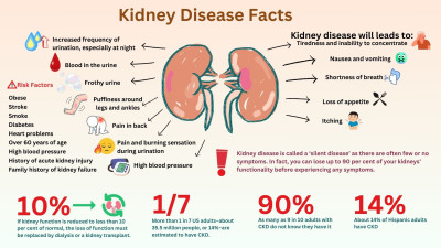 Kidney Disease Facts