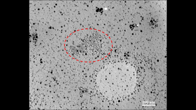 Transmission Electron Microscopy (TEM) Micrograph of Thioaurite Embedded in Amorphous-Polystyrene