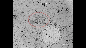 Transmission Electron Microscopy (TEM) Micrograph of Thioaurite Embedded in Amorphous-Polystyrene