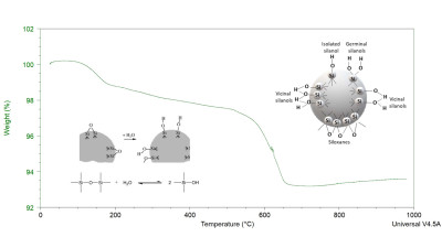 Thermogravimetric Analysis (TGA) of Diatomaceous Earth