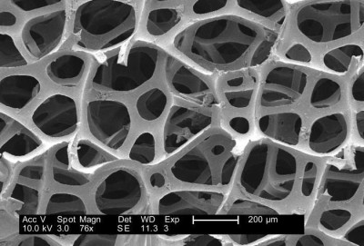 Fibrous Configuration of a Dry Macrofoam Sponge Swabs