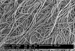 Scanning Electron Micrograph of Uninoculated Rayon Swab Fibers