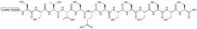 Precursor Peptide Nosiheptide