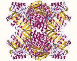 2-Aminomuconate Dehydrogenase Tetramer with NAD, Na, 6OH
