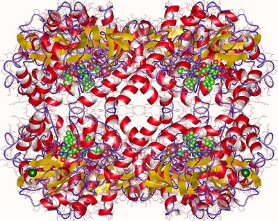 Crystal Structure of IPP isomerase at I422