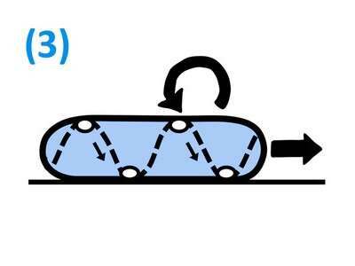 Motility cartoon type 3