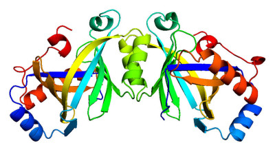 Plague Enzyme Structure