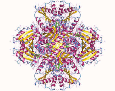 Crystal Structure of the Type II 3-Dehydroquinase