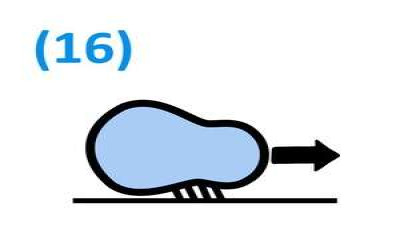 Motility Cartoon Type 16