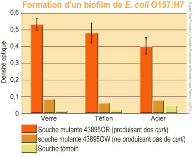 EColiUSDAfromPinaFratamico