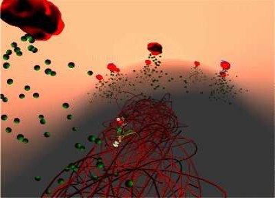 Transport-of-lactose-as-observed-from-the-inside-of-the-Prokaryo-cell-within-the-cytoplasm