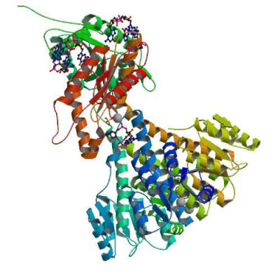 Diguanylate cyclase