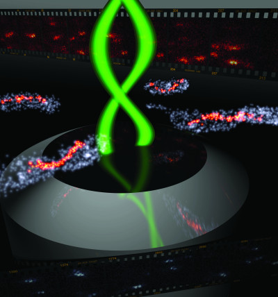 Bacteria-3D-Double-Helix