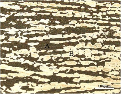 Microstructure of 2707 Hyper Duplex Stainless Steel