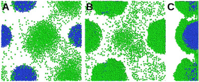 Nature Mushroom-Shaped Structures Pseudomonas Aeruginosa