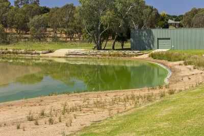 Microcystis aeruginosa outbreak on the southwest side of Lake Albert