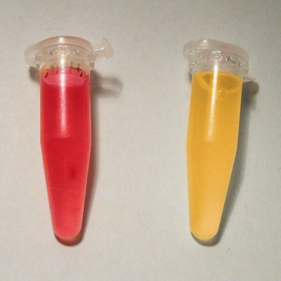 Methylrot Probe methyl red test