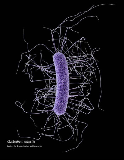 Clostridium difficile