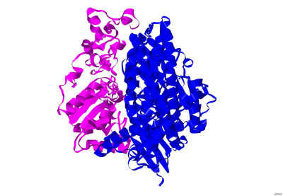 Desulfovibrio vulgaris Miyazaki F