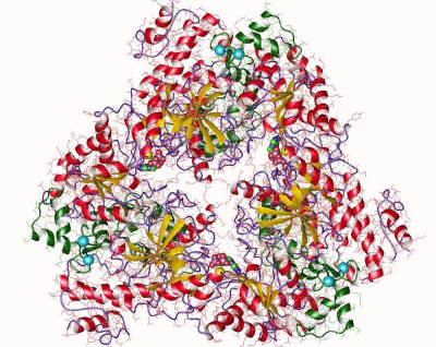 Crystal Structure of the EF3-CaM Complexed with PMEApp