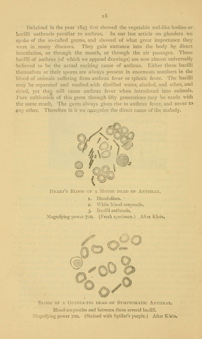 Diseases and disorders of the horse (Page 18) BHL23614188