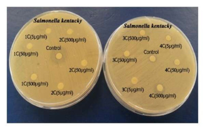 Effect-of-SB1-and-ZrIV-LaIII-and-CeIV-chelates-on-Salmonella-kentucky