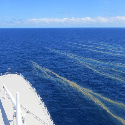 Trichodesmium Bloom off Great Barrier Reef