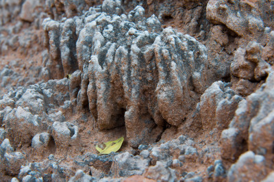 Cold Winters Cause High Relief Soil Crusts in Southeast Utah