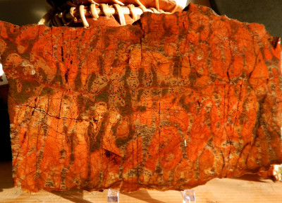 Fiery Orange Mary Ellen (Stromatolite) Jasper