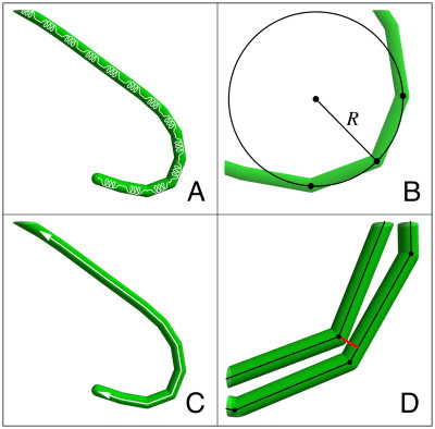 Modeling Filamentous Cyanobacteria