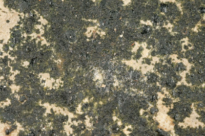 Dry State - Close-Up - Enlarged