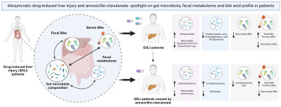 iDILI and Amoxicillin-Clavulanate: Spotlight on Metagenome and Metabolome in Patients