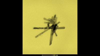 Electronic Micrograph of a Carbon Nanoscroll Bundle