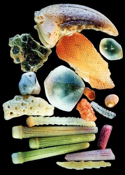 Selection of Sand Grains at 400x Magnification