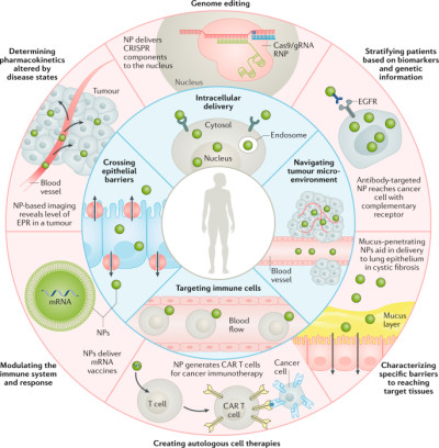 Biological Barriers to Precision Medicine Applications