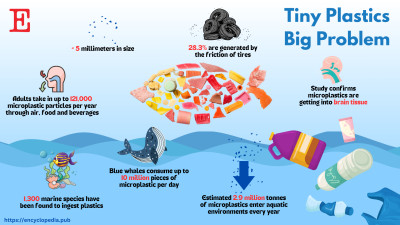 Microplastics Infographic