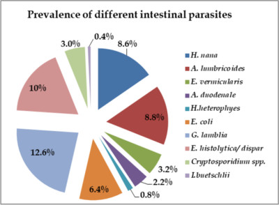 Prevalence of Intestinal Parasitic Infections in Zgazig District
