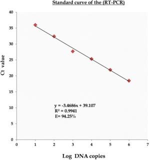 Standard Curve of the Real-Time PCR (RT-PCR) Assay: Marwa Omar