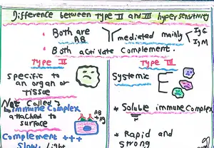 Type 2 Versus Type 3 Hypersensitivity reactions: Marwa Omar