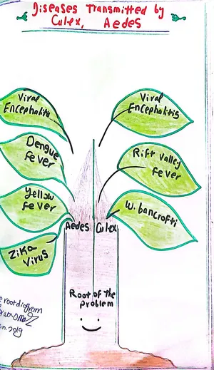 Diseases Transmitted by Culex and Aedes Mosquitos: Marwa Omar