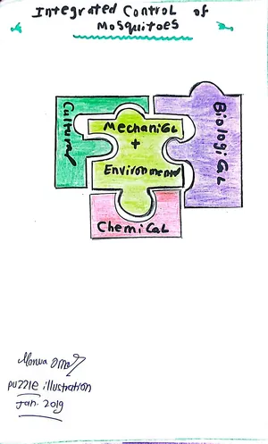 Integrated Mosquito Control: Marwa Omar