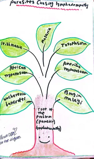 Parasites Causing Lmphadenopathy: Marwa Omar