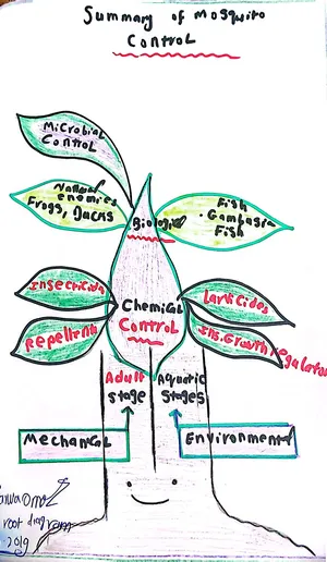 Summary for Mosquito Control Measures: Marwa Omar